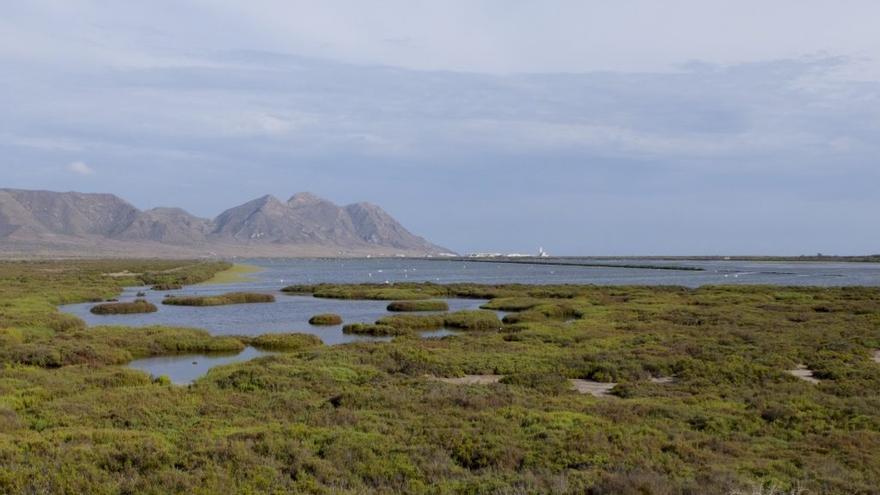 Imagen de las salinas del Cabo de Gata