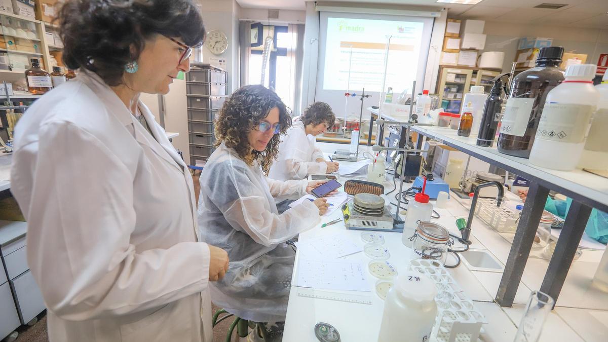 Imagen de archivo de investigadoras de la UMH, como la agroquímica Concepción Paredes