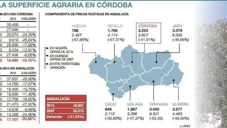 Las fincas agrarias han perdido el 20% de su valor con la crisis