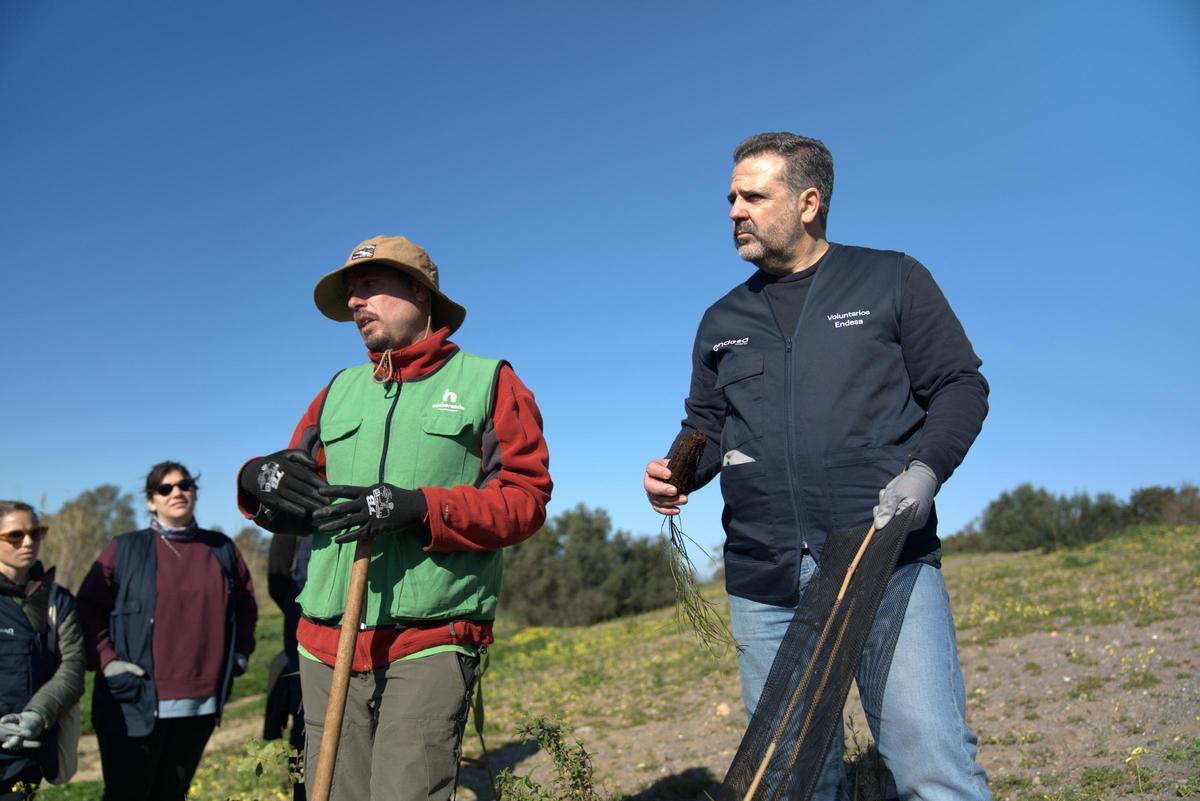 Actividades del voluntariado ambiental