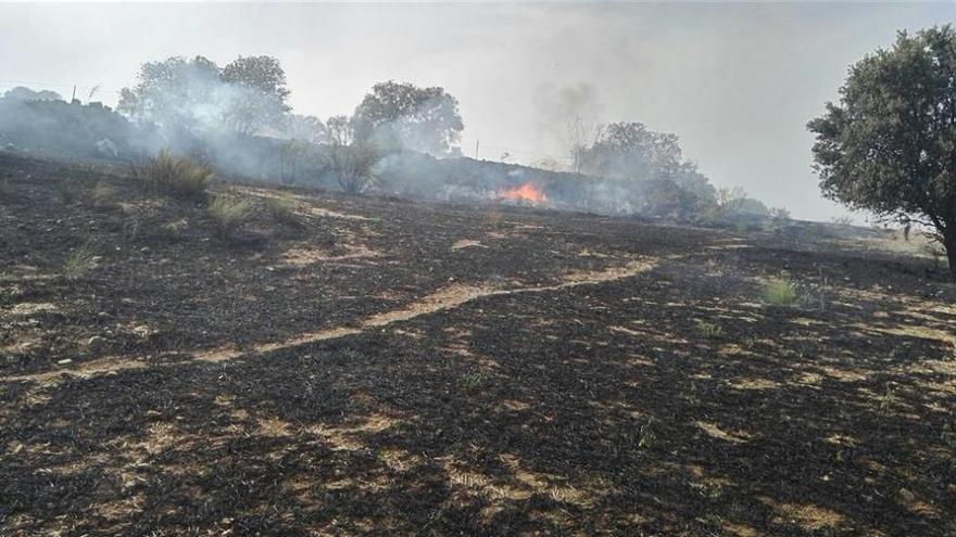 Declarado un incendio forestal en el término municipal de Dos Torres