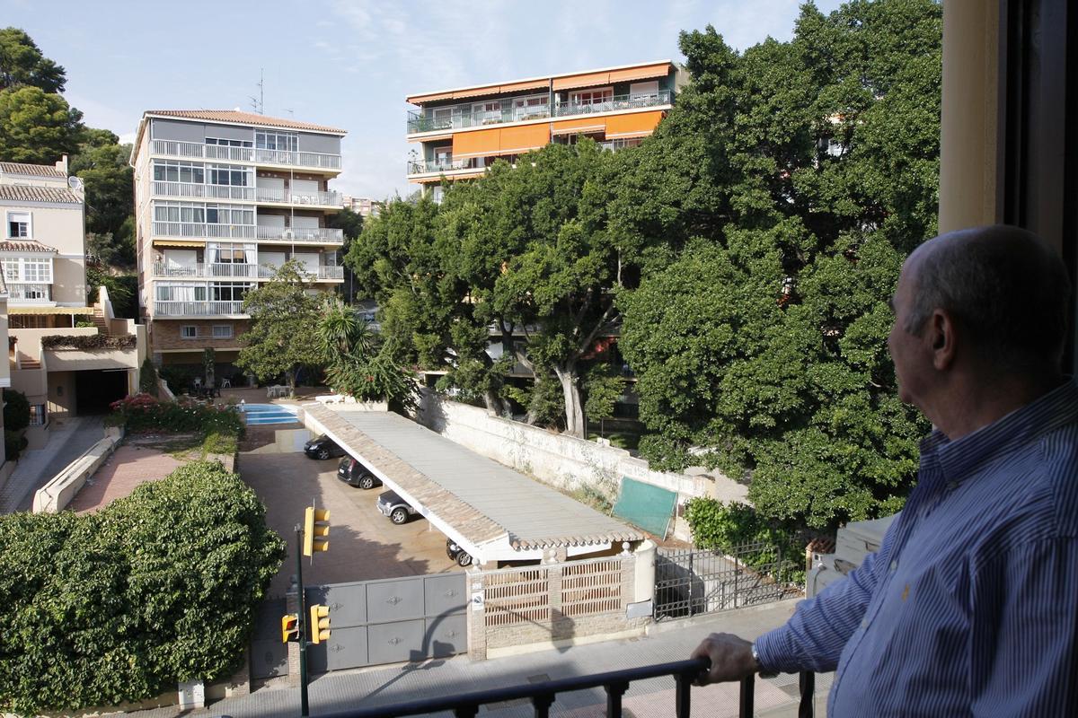 El nuevo vial, junto al ficus de Bellavista, implicaba demoler el bloque de viviendas del fondo, al lado del arroyo del Café.