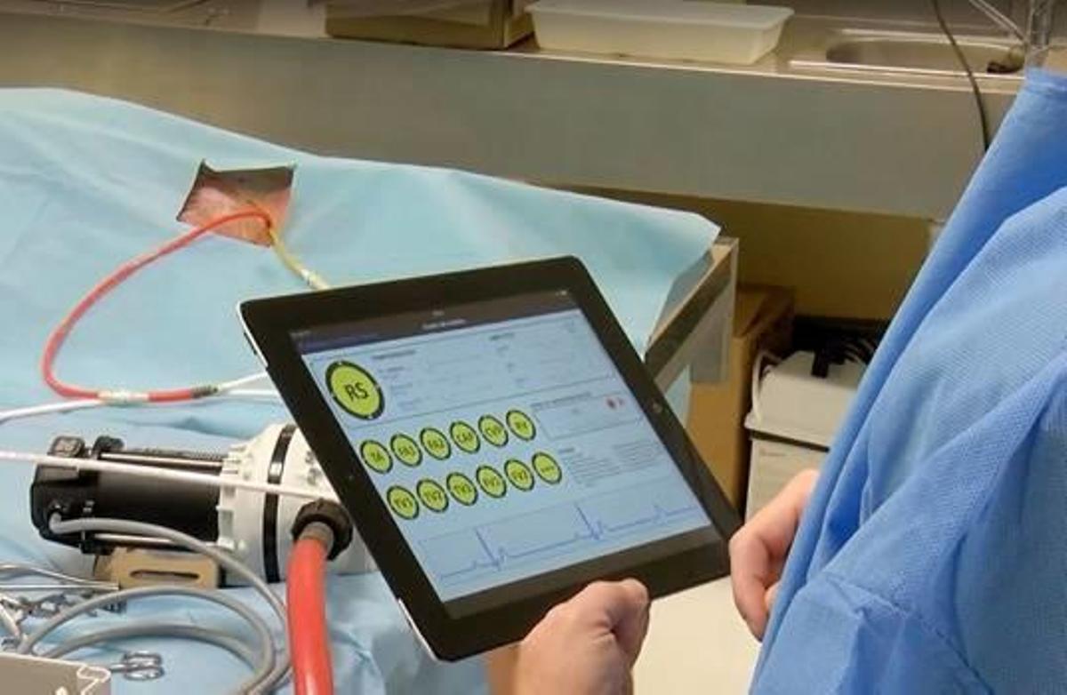 Cadáveres que sangran y respiran