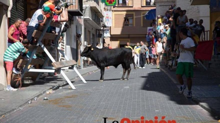 Primer encierro Moratalla 2015