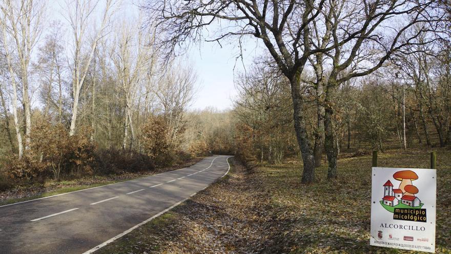 Un ambicioso proyecto en Aliste recuperará una ribera y ruta de senderismo