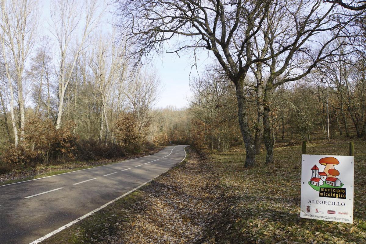 Zona de actuación caracterizada también por su riqueza micológica.  | CH. S.