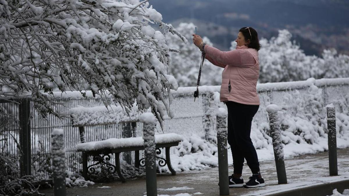 La nieve llega a Barcelona: Collserola, cubierta de blanco