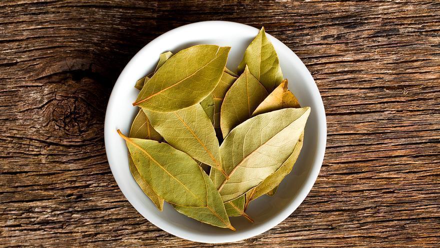 Hoja de laurel en el radiador: la solución que más gente copia con la llegada del frío