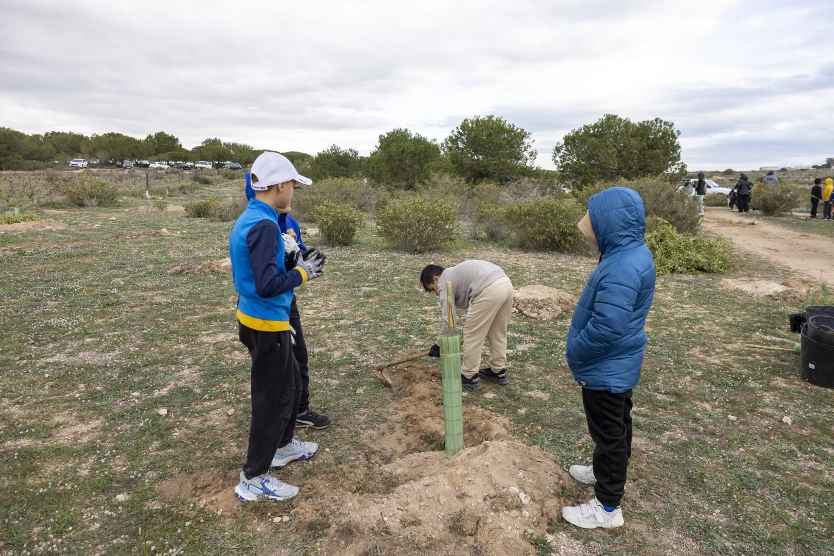 Jornada escolar plantación de especies autóctonas junto al parque natural de las lagunas de Torrevieja y La Mata