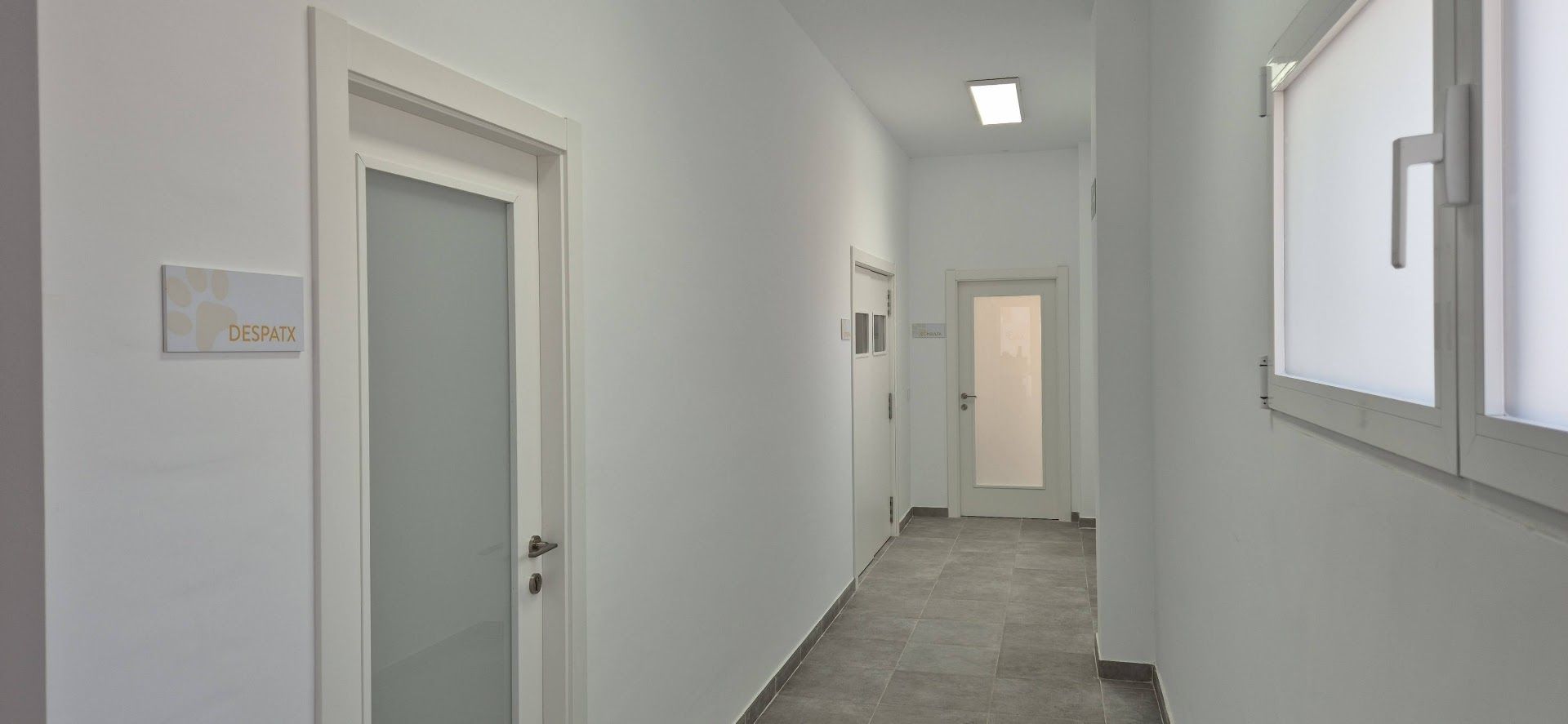 Inauguración del Centro de Acogida de Animales de la Safor en Tavernes de la Valldigna