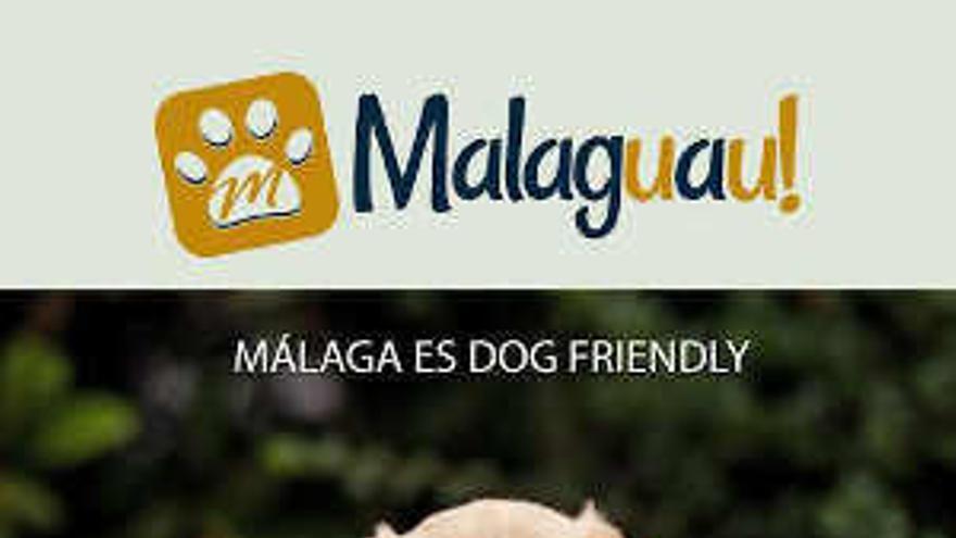 La app municipal Malaguau ayudará a encontrar las mascotas perdidas