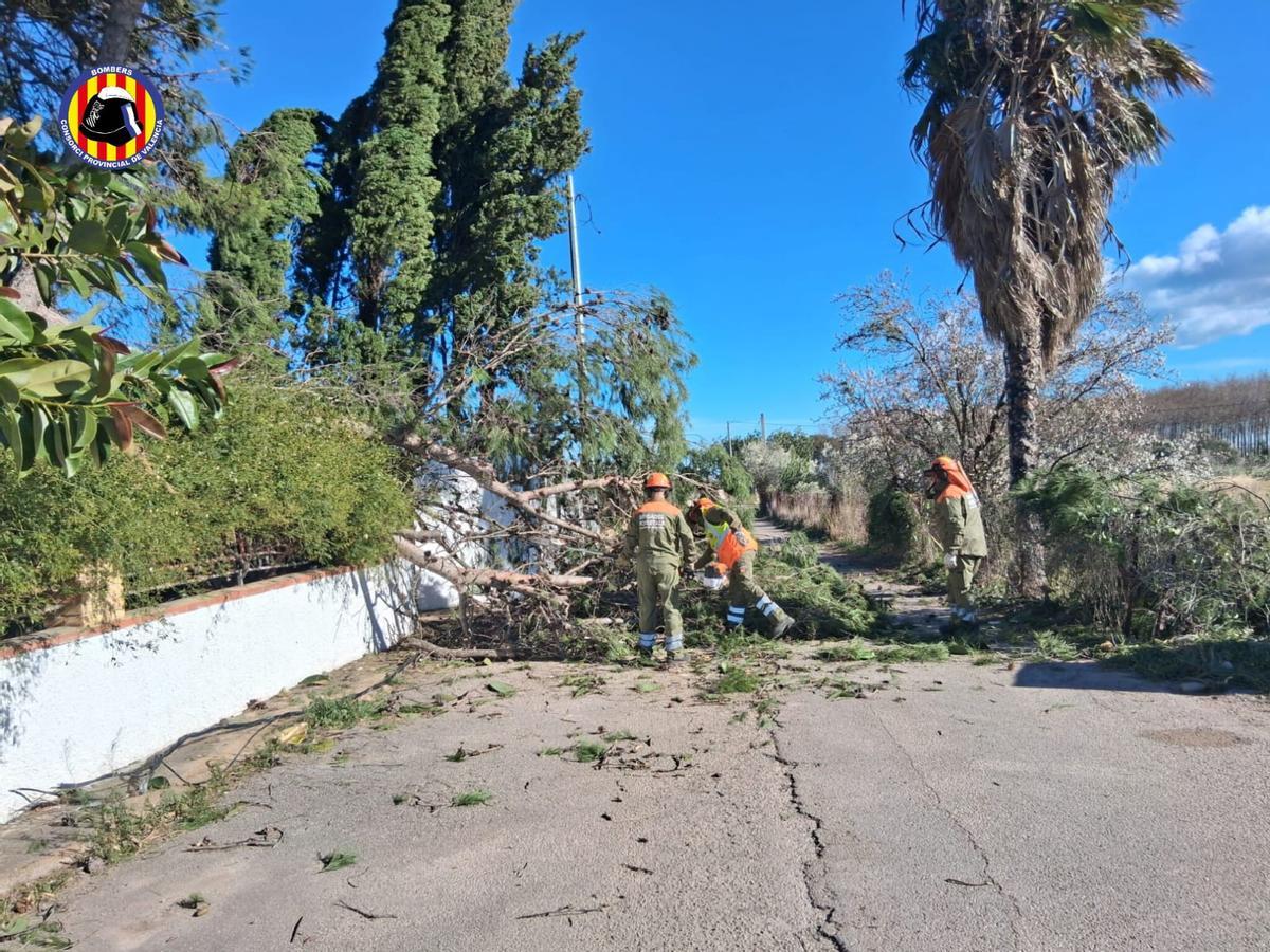 Bomberos intervienen para retirar un árbol derribado por el viento en una urbanización de Bétera.