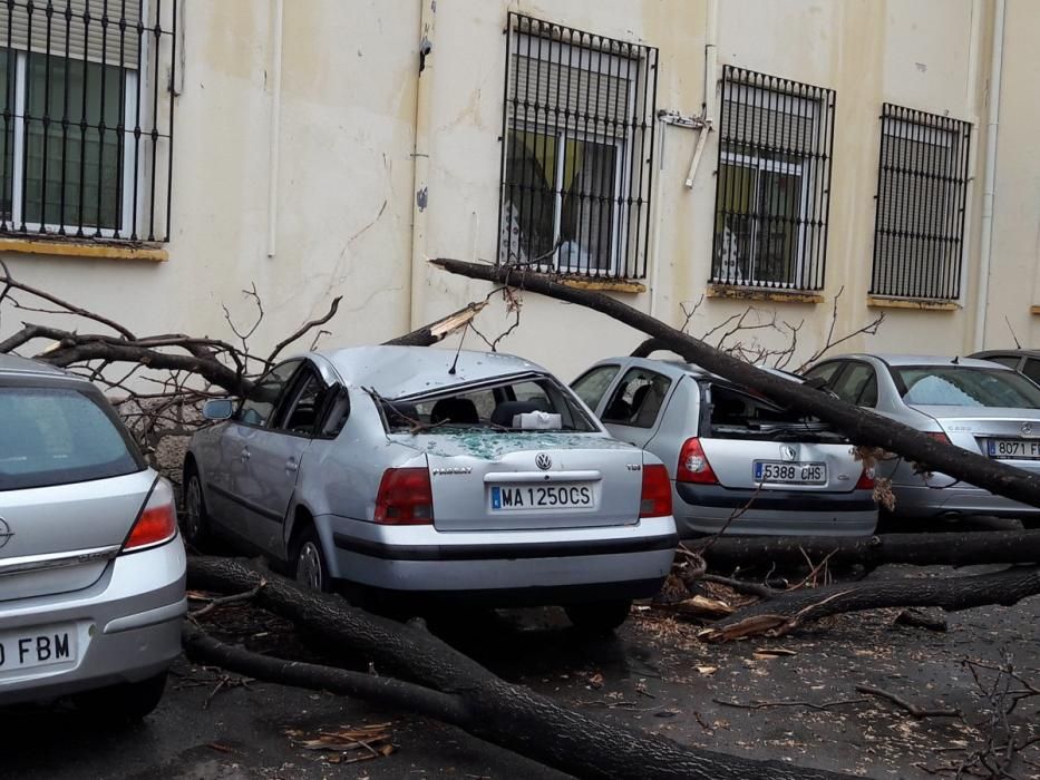 Las incidencias de la borrasca Ana en Málaga