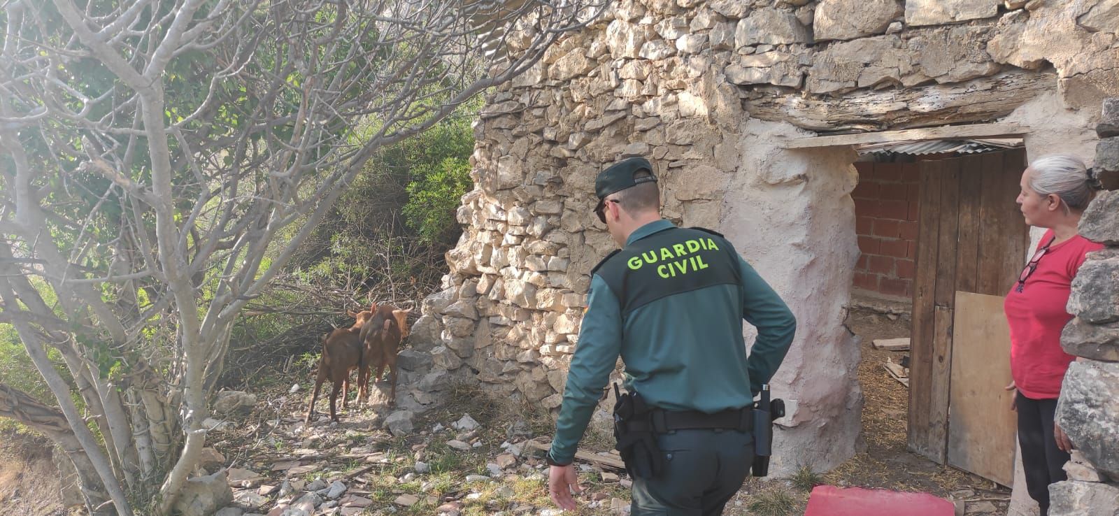 La (casi) normalidad de los vecinos de Villanueva de Viver en su vuelta a casa