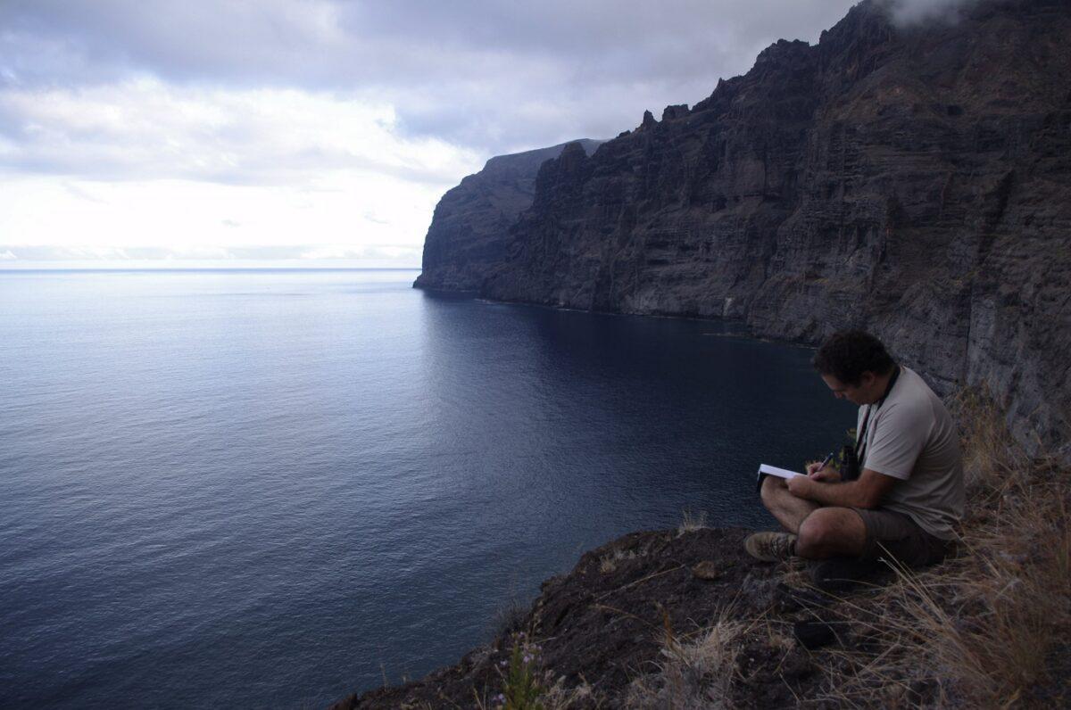 Canarias trabaja contrarreloj para salvar sus últimas águilas pescadoras