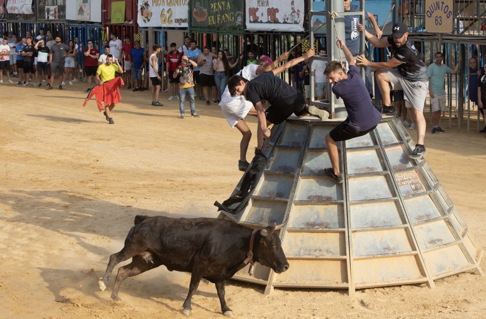 Jueves de vaquillas en las fiestas de Sagunt