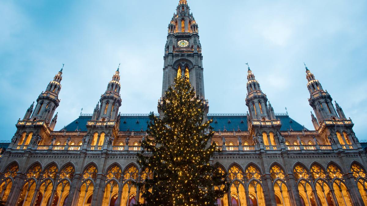 Más allá de conos metálicos: dónde ver árboles de Navidad reales en España