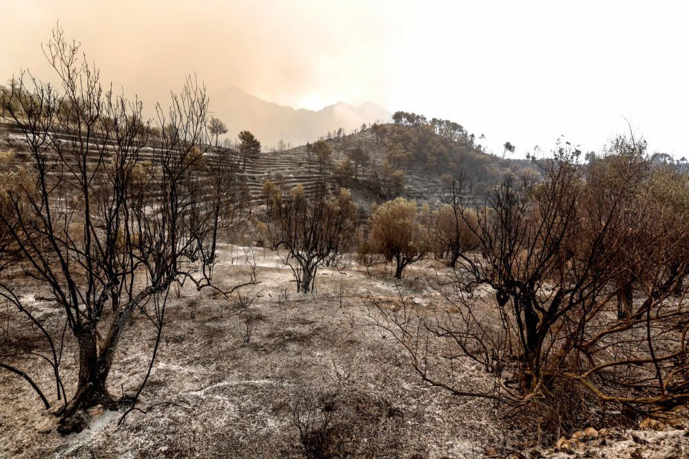 La superficie afectada abarca suelo de Bolulla, Tárbena, Callosa d´en Sarrià y Xaló