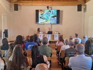 Un paraíso a las puertas de Santiago: en Corrubedo habitan 13 de las 14 especies de anfibios que hay en Galicia y la mitad de las de reptiles