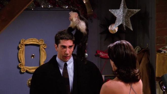 El mono Marcel de Ross Geller (David Schwimmer) en la serie 'Friends'