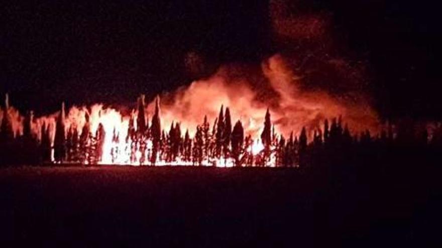 L&#039;incendi de dissabte es va estendre ràpidament a causa de la tramuntana.