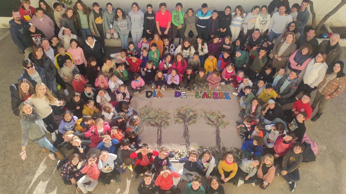 Los escolares celebran el Día del árbol