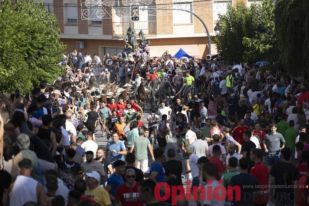 El segundo encierro de las Fiestas de Moratalla se salda con un herido