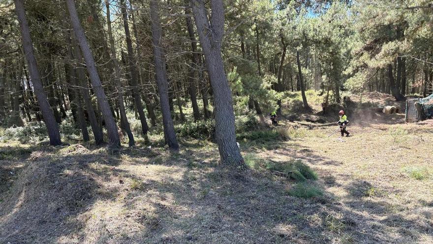 Castrillón blinda el pinar de San Juan de Nieva frente a los incendios forestales