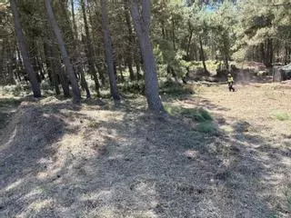 Castrillón blinda el pinar de San Juan de Nieva frente a los incendios forestales