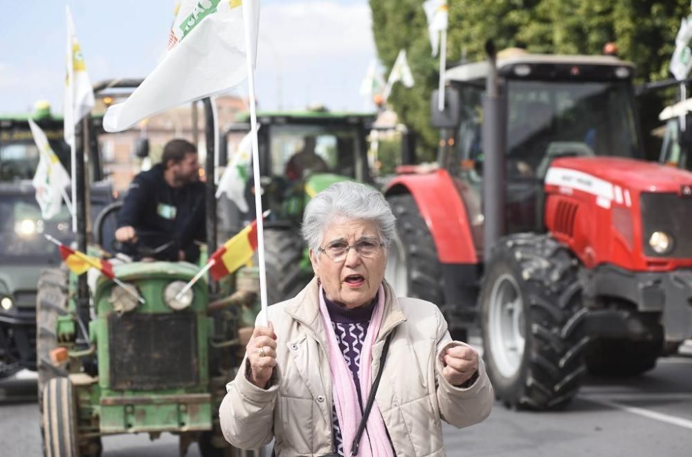 Así ha sido la manifestación de los agricultores en Murcia (II)