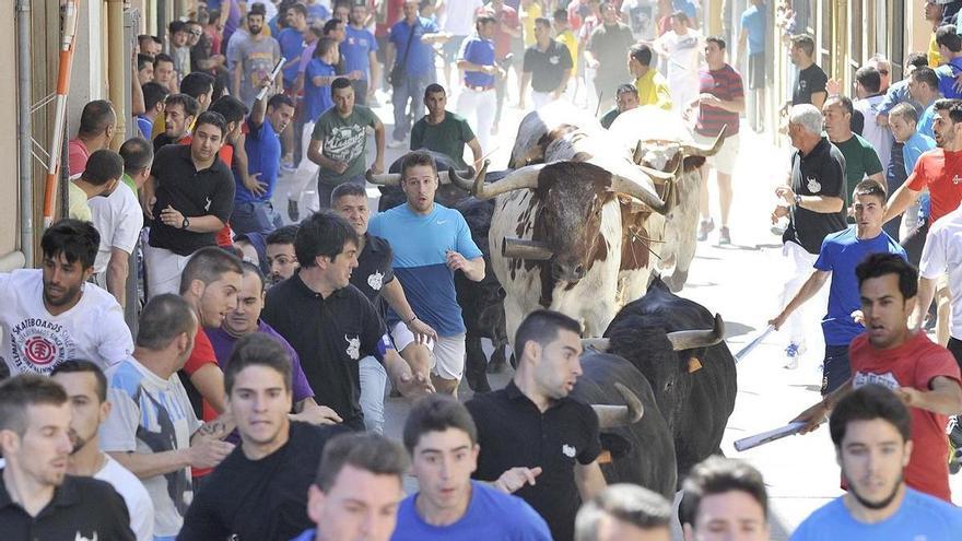 Almassora &#039;ficha&#039; a Gerardo Ortega para el encierro de Santa Quitèria
