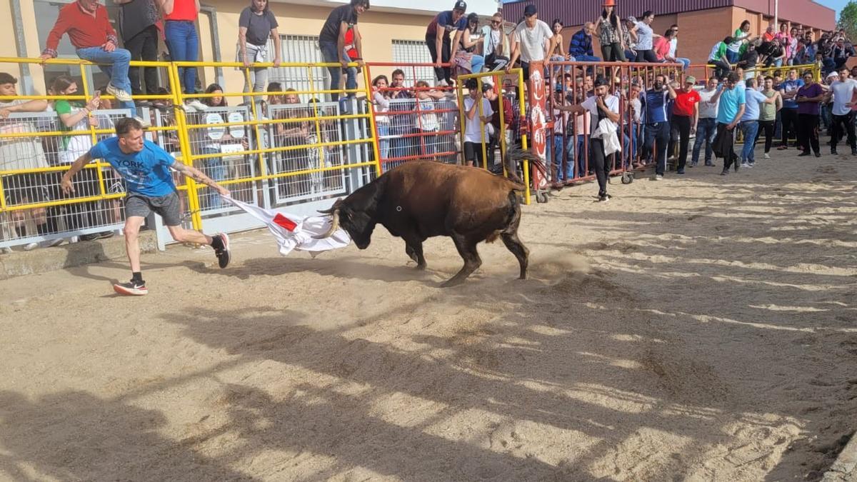 Un lance con &quot;Catedrática&quot; en el circuito vallado de Santa Cristina.