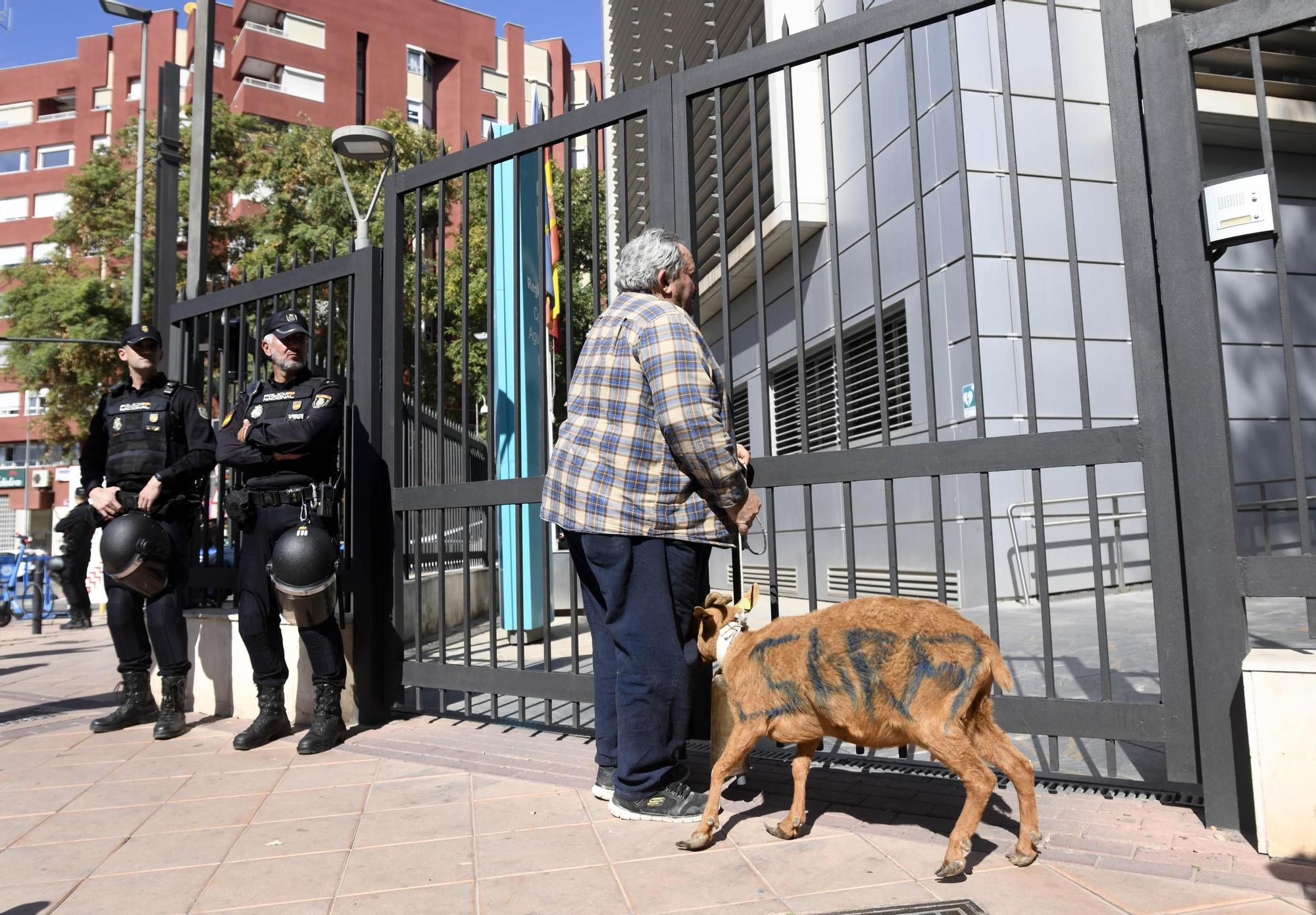 FOTOS: Las protestas de los agricultores murcianos el 21F, en imágenes