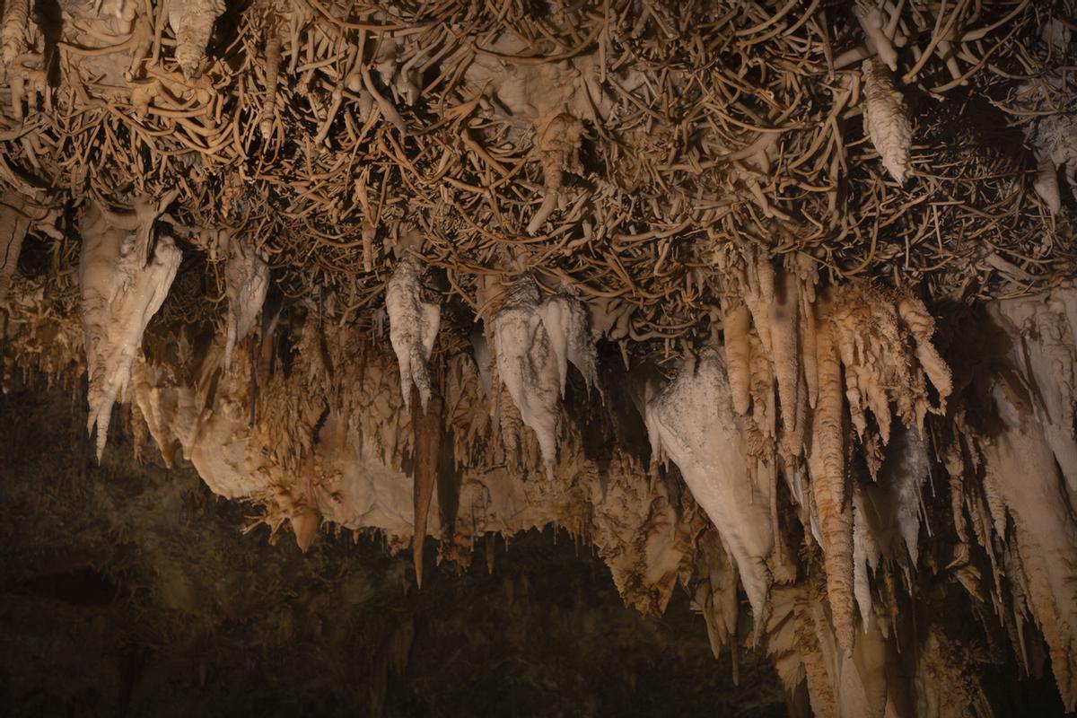 Las estalactitas concéntricas de la Cueva de Pozalagua