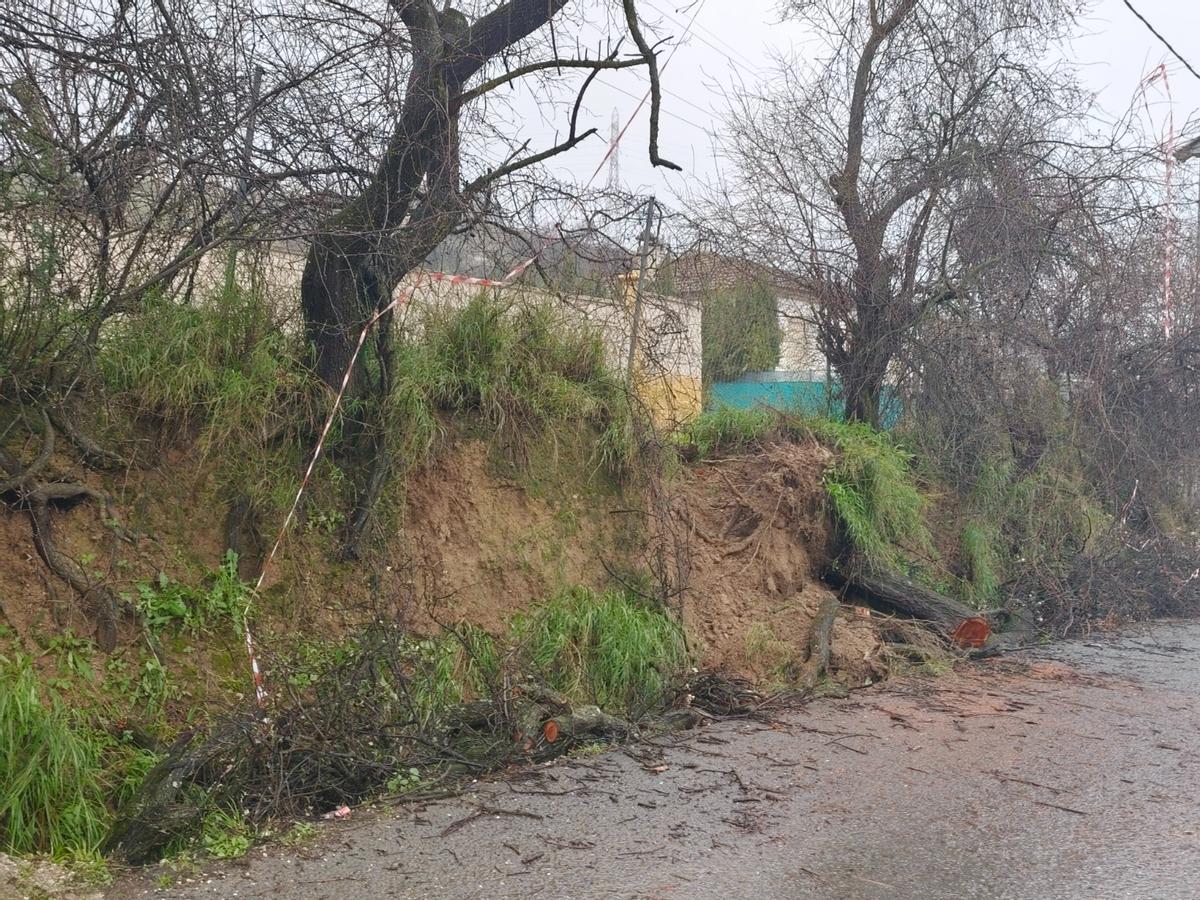 Desprendimiento de un terraplén junto a una carretera en Lucena.