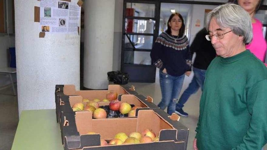 Reparto de manzanas dentro del programa de alimentación saludable del centro.