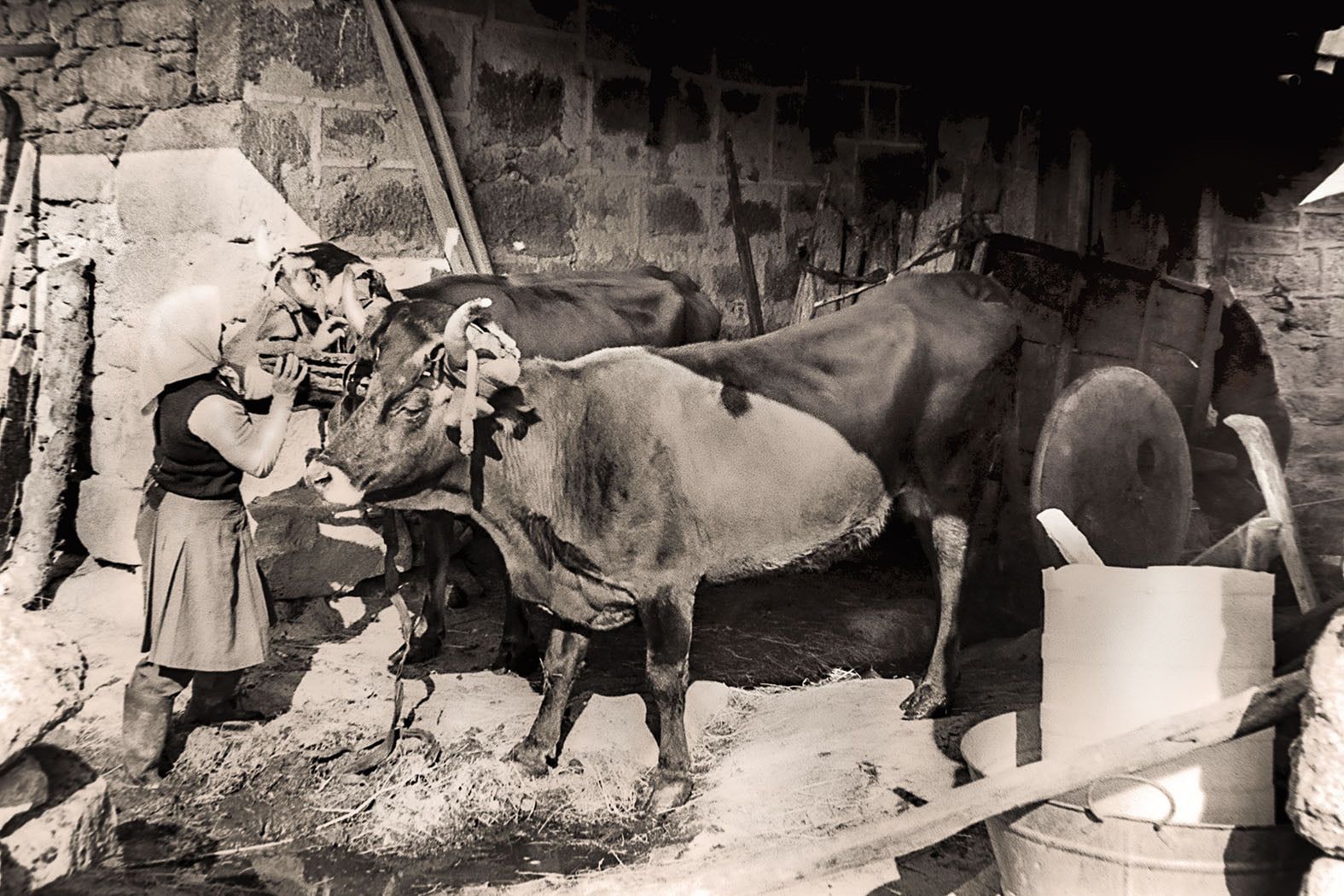 La Sra. Adela, Sotillo de Sanabria (Zamora). 1984..jpg