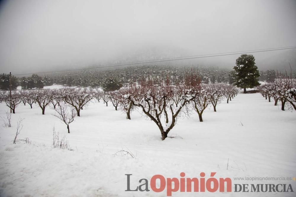 Temporal en el Noroeste (pedanías de El Moral y El