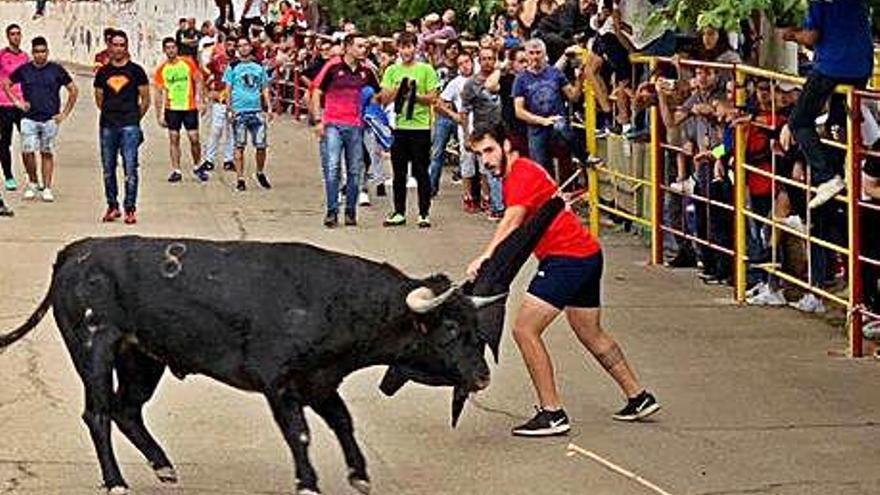 El toro del pasado año, en Villanueva.