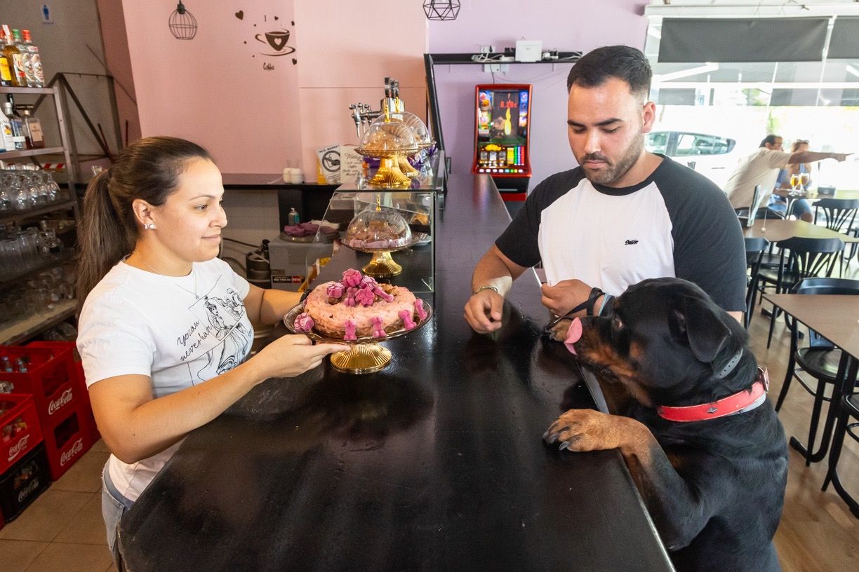 GALERÍA | El bar de Mérida que tiene pinchos para los perros