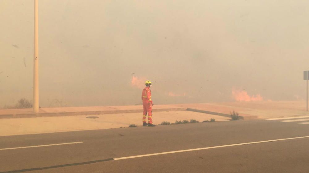 Incendio forestal en el Marjal dels Moros en Sagunt