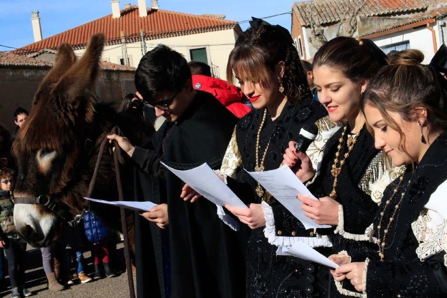 Monfarracinos celebra San Antón