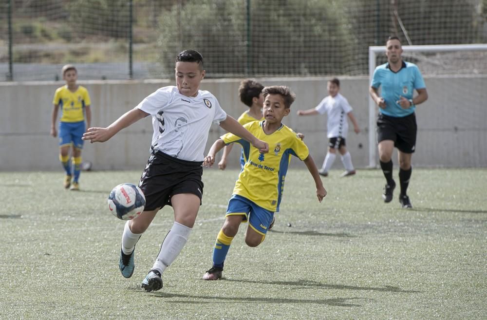 Las Palmas-Arucas (benjamines)