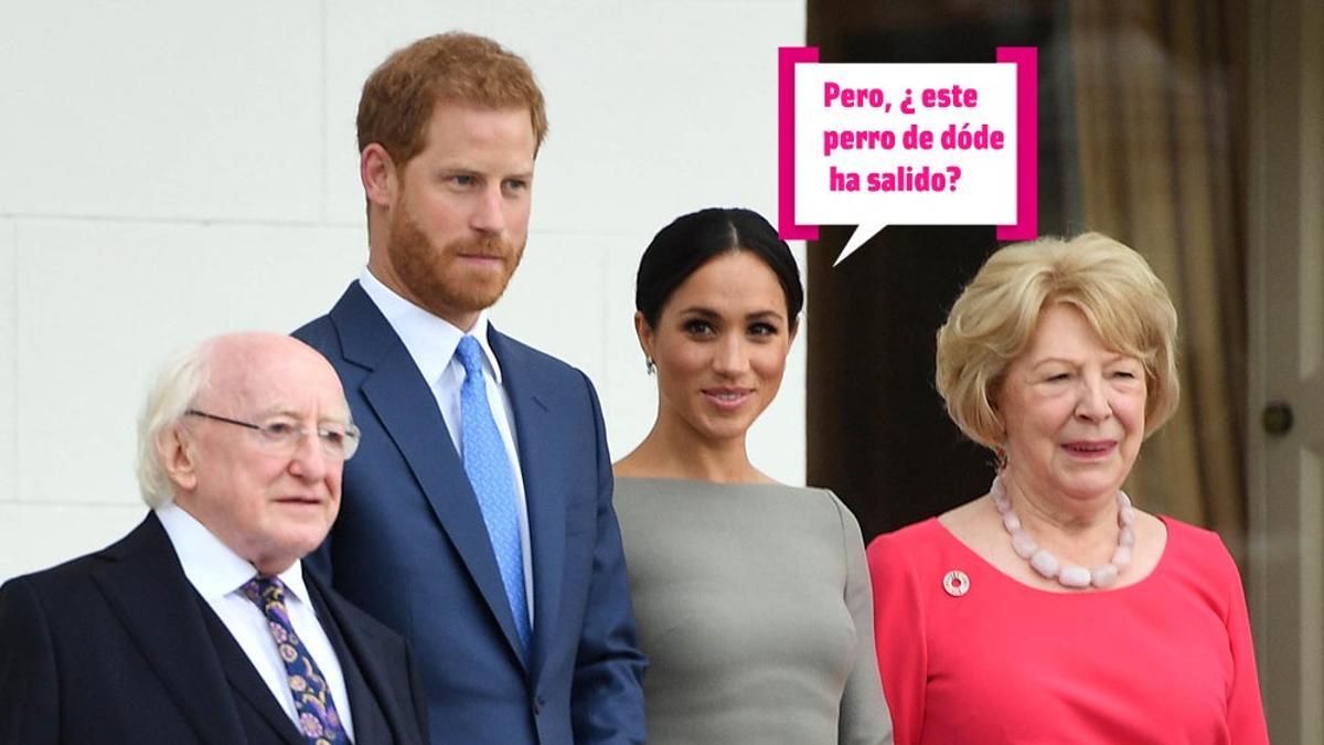 Meghan Markle se enamora de un perrito en Irlanda