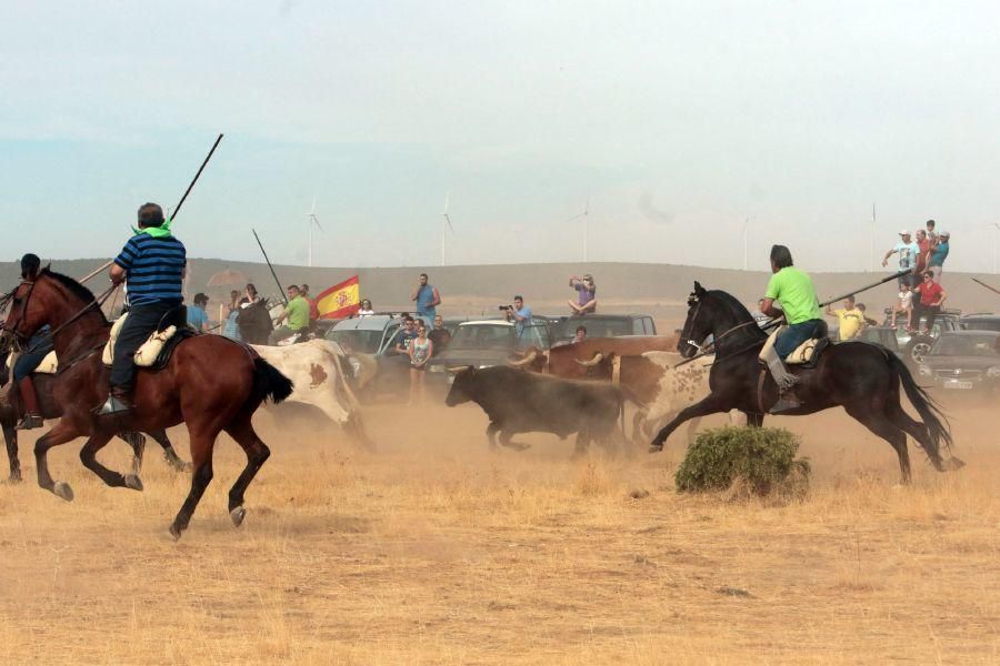 Fiestas en Zamora: Espantos en Carbajales