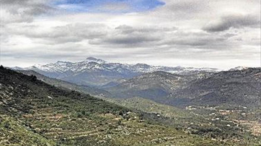 Posen en valor la flora  i fauna del riu Llucena Patrimoni històric i cultural