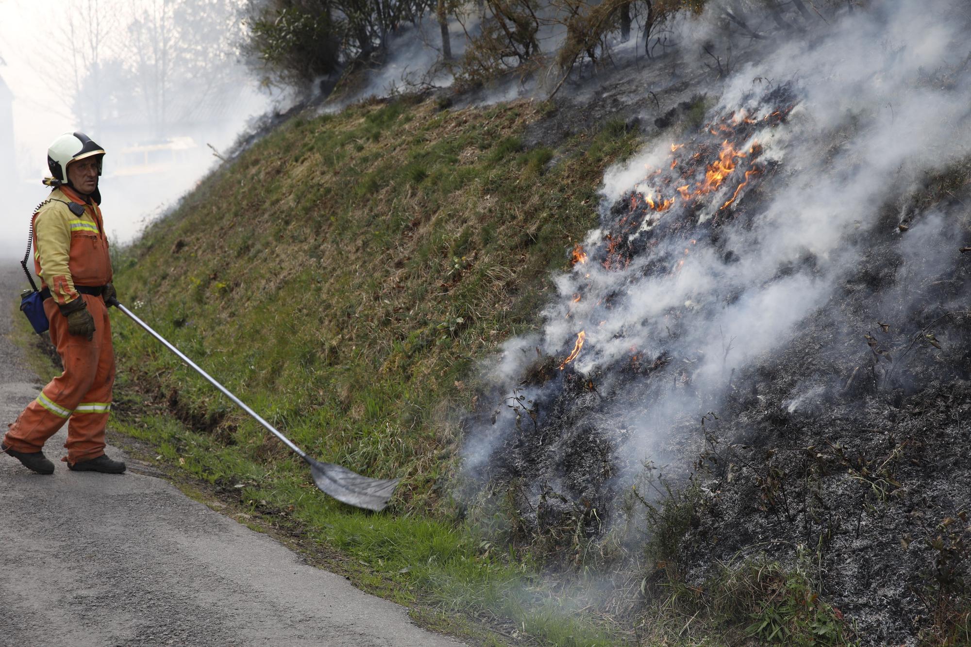 Bomberos de Asturias atrapando el fuego entre Naraval y Paredes