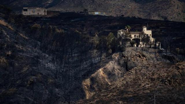 Terrenys calcinats per l’incendi forestal a Los Gallardos. | JAVI CARRIÓN / EUROPA PRESS