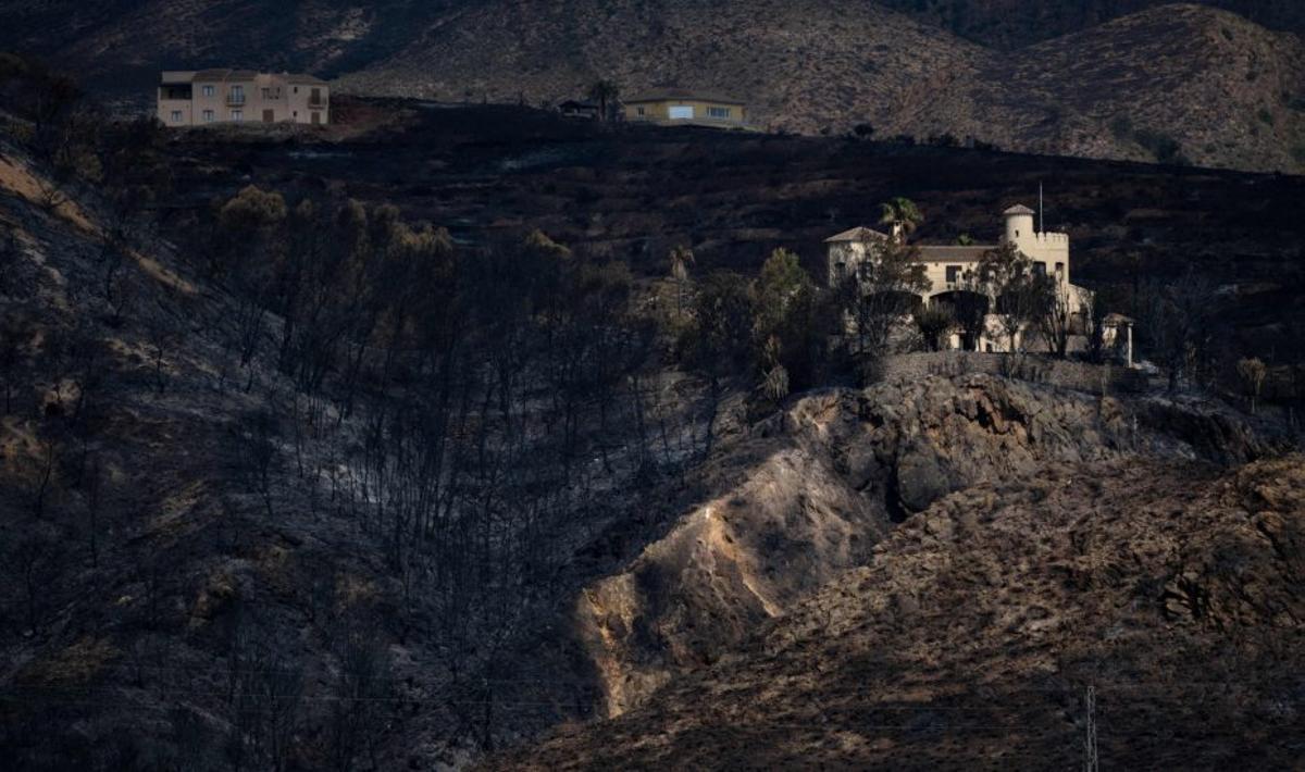Terrenys calcinats per l’incendi forestal a Los Gallardos. | JAVI CARRIÓN / EUROPA PRESS