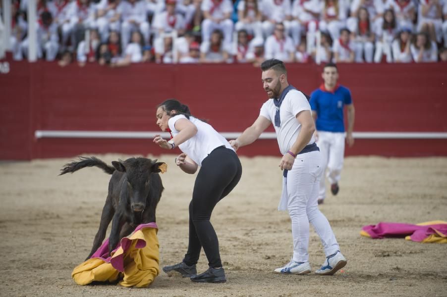 Becerrada, encierros y vaca de la sangría